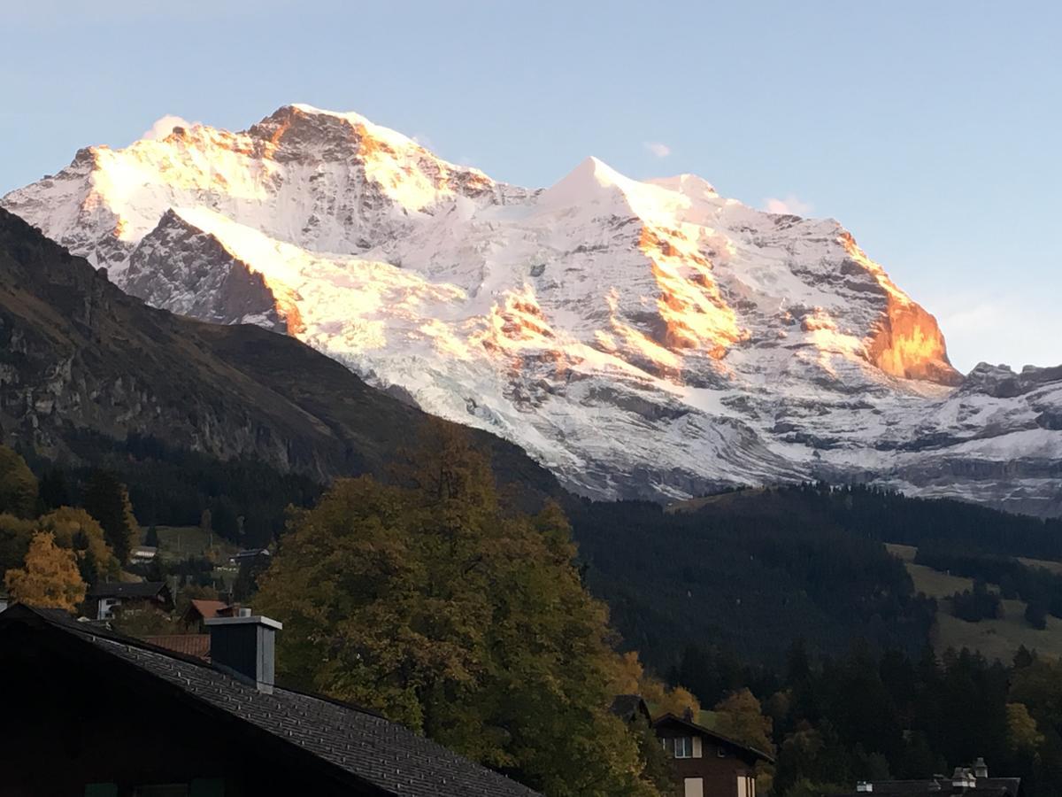 Pasta&More Bed&Breakfast Wengen Eksteriør bilde